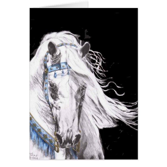 "Arabisches Weiß " (Vorne)