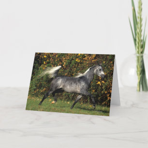 Arabs Running: Autumn Karte