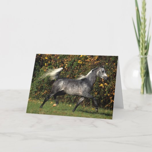 Arabs Running: Autumn Karte (Vorderseite)