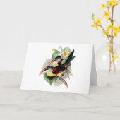 Aracari Gelockt-mit Haube Karte (Gelbe Blume)
