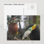 Aracari Poca # 3 Postkarte (Vorne/Hinten)