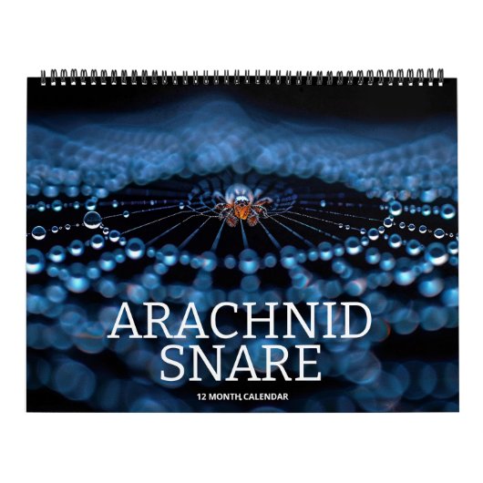Arachnid Snare Kalender (Titelbild)