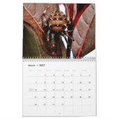 Arachnida Kalender (Mär 2027)