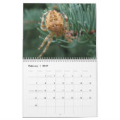 Arachnida Kalender (Feb 2027)