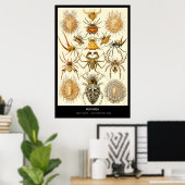 Arachnida - Plate 58 - Kunstformen der Natur Poster (Heimbüro)