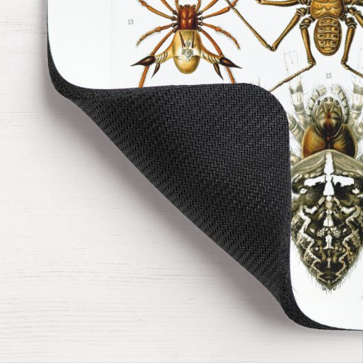 Arachnida (Spiders), Ernst Haeckel Fine Art Mousepad (Ecke)