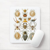 Arachnida (Spiders), Ernst Haeckel Fine Art Mousepad (Mit Mouse)
