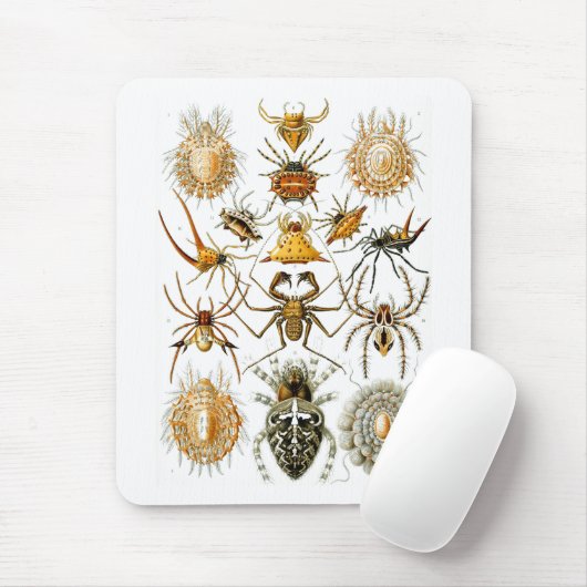 Arachnida (Spiders), Ernst Haeckel Fine Art Mousepad (Mit Mouse)