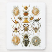 Arachnida (Spiders), Ernst Haeckel Fine Art Mousepad (Vorne)