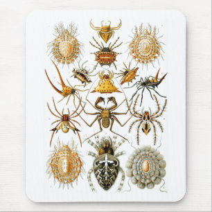 Arachnida (Spiders), Ernst Haeckel Fine Art Mousepad