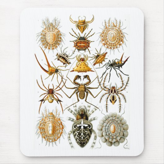 Arachnida (Spiders), Ernst Haeckel Fine Art Mousepad (Vorne)