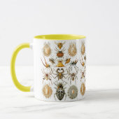 Arachnida (Spiders) Ernst Haeckel Fine Art Tasse (Links)