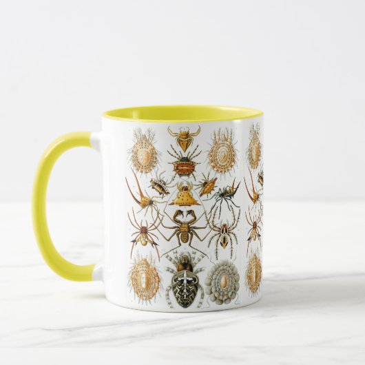 Arachnida (Spiders) Ernst Haeckel Fine Art Tasse (Links)