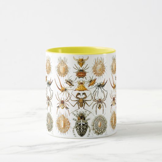 Arachnida (Spiders) Ernst Haeckel Fine Art Tasse (Zentrum)