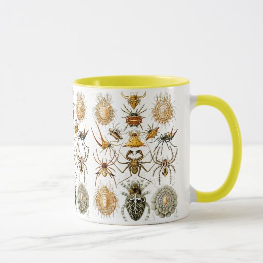 Arachnida (Spiders) Ernst Haeckel Fine Art Tasse (Rechts)