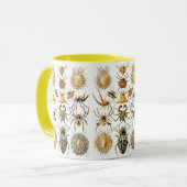 Arachnida (Spiders) Ernst Haeckel Fine Art Tasse (Vorderseite Links)