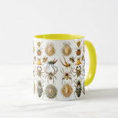 Arachnida (Spiders) Ernst Haeckel Fine Art Tasse (VorderseiteRechts)