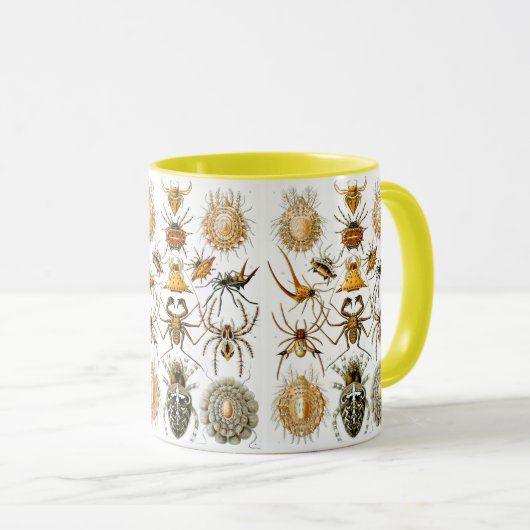 Arachnida (Spiders) Ernst Haeckel Fine Art Tasse (VorderseiteRechts)