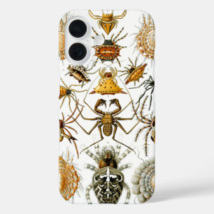 Arachniden von Haeckel Vintage Spinnenillustration iPhone 16 Hülle