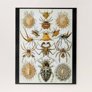 Arachniden von Haeckel Vintage Spinnenillustration Puzzle