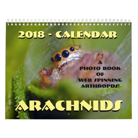 Arachnider Kalender (Titelbild)