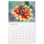 Arachnider Kalender (Jan 2027)