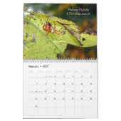 Arachnider Kalender (Feb 2027)