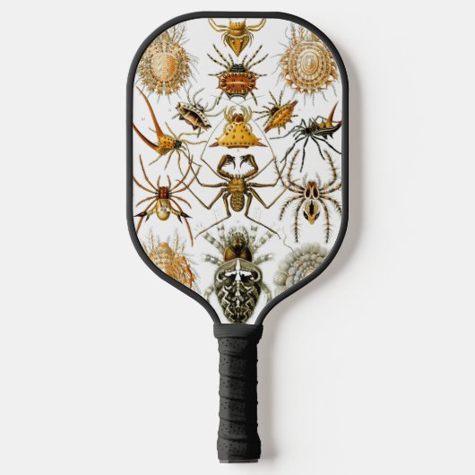 Arachnids von Ernest Haeckel Vintag Illustration Pickleball Schläger (Vorderseite)