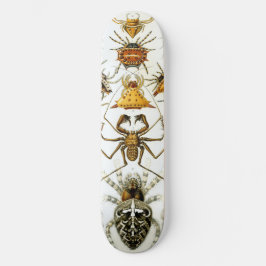 Arachnids von Ernest Haeckel Vintag Illustration Skateboard