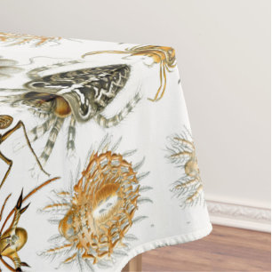 Arachnids von Ernest Haeckel Vintag Illustration Tischdecke