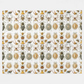 Arachnids von Haeckel Vintage Spinnentechnik Fleecedecke (Vorderseite (Horizontal))
