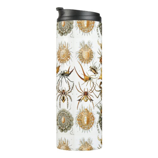 Arachnids von Haeckel Vintage Spinnentechnik Thermosbecher (Nach rechts gedreht)