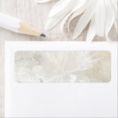 Aragonit und Quartz (Insitu)