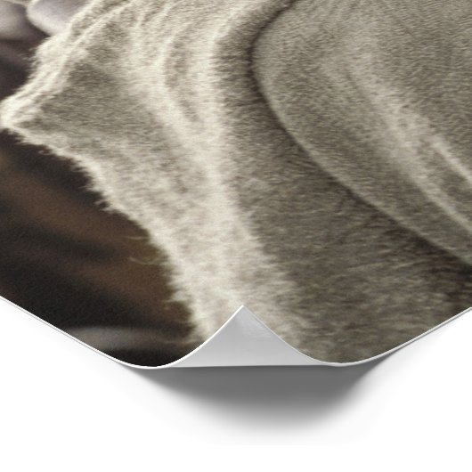 Aragorn mit Pferd Poster (Ecke)