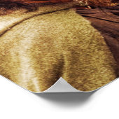 Aragorn Plus Reihe von Pferden Poster (Ecke)