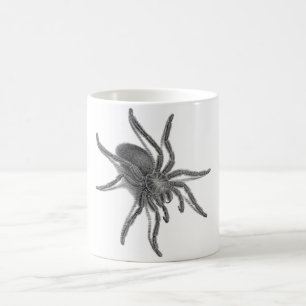 Aranea Avicularia, schwarze kubanische Spinne Kaffeetasse