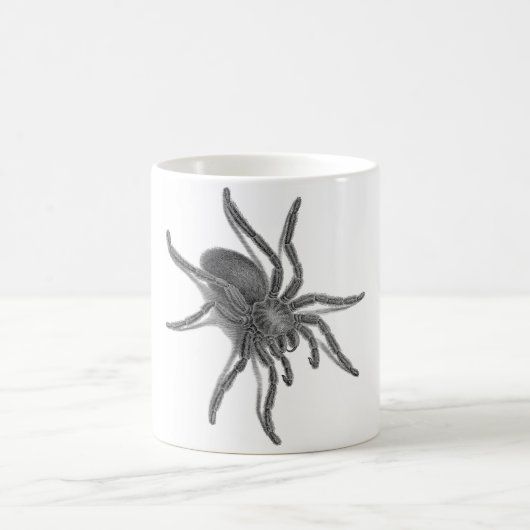 Aranea Avicularia, schwarze kubanische Spinne Kaffeetasse (Mittel)