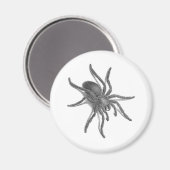 Aranea Avicularia, Schwarzer Kubanischer Spider Magnet (Vorderseite/Rückseite)