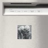 Araneide Magnet (In Situ (Geschirrspüler))