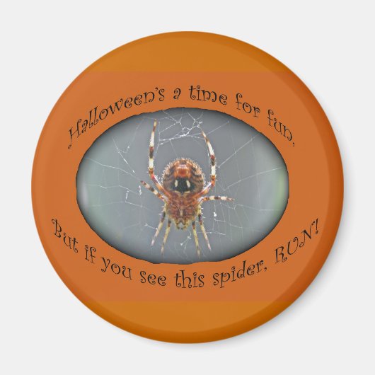 Araneus Orb Weaver Spider Halloween Magnet (Vorne)