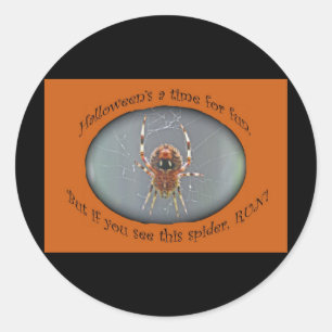 Araneus Orb Weaver Spider Halloween-Sticker Runder Aufkleber