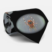 Araneus Orb Weaver Spider Krawatte (Gerollt)