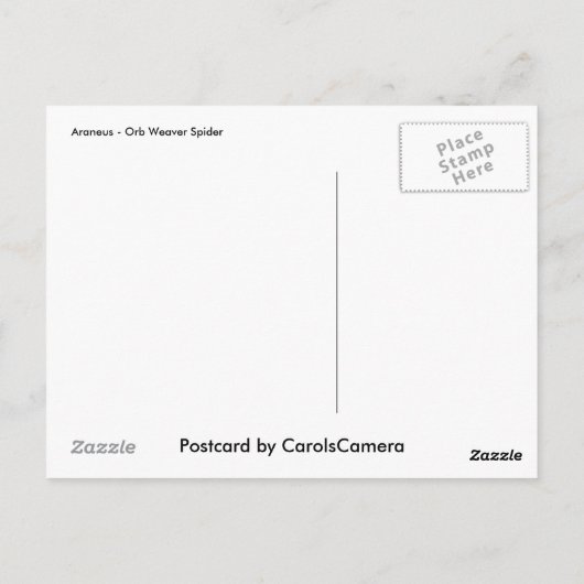 Araneus Orb Weaver Spider Postkarte (Rückseite)