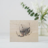 Araneus Orb Web Spider Postcard Postkarte (Stehend Vorderseite)
