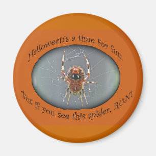 Araneus-Radnetzspinne-Halloween-Magnet Magnet