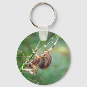 Araneus - Radnetzspinne Schlüsselanhänger