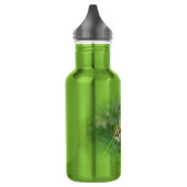 Araneus - Radnetzspinne Trinkflasche (Links)