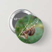 Araneus - Weaver Spider Button (Vorne & Hinten)