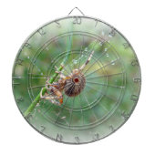 Araneus - Weaver Spider Dartscheibe (vorne)