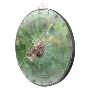 Araneus - Weaver Spider Dartscheibe